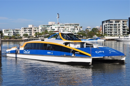 Get Brisbane City Cat Pictures