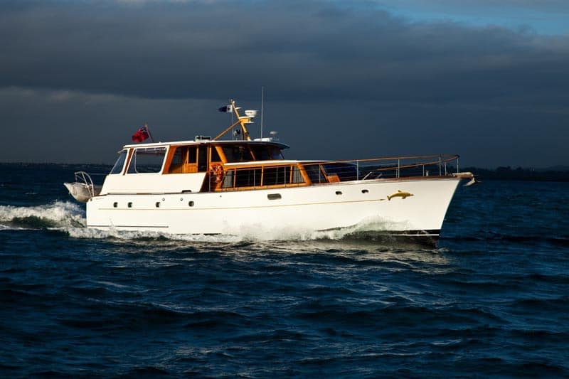 Dolphin II