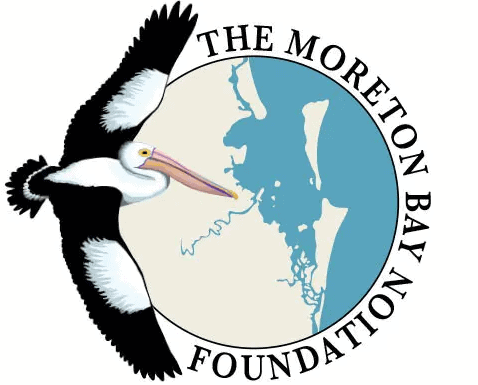 Moreton Bay Ambassador
