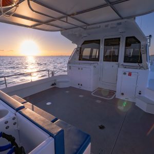 571340447_1440291944768139_3859965111200833440_n