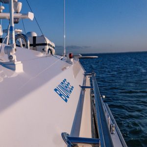 574336463_1440290628101604_5671933765769352606_n